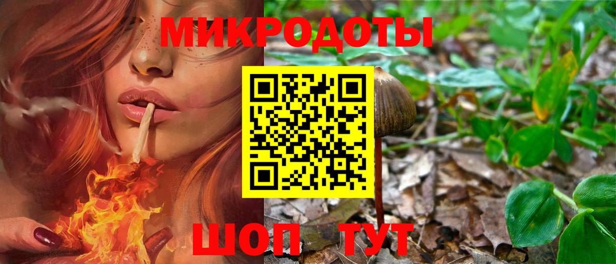 Псилоцибиновые грибы прущие грибы  Вход с VPN  Железногорск 