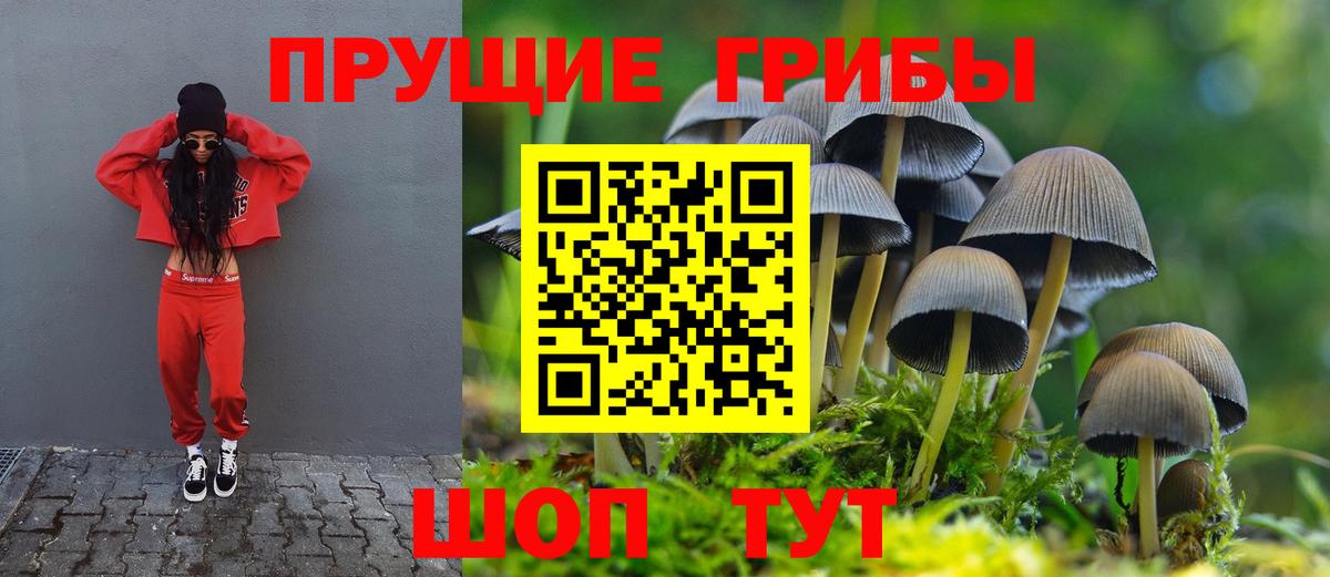 Псилоцибиновые грибы прущие грибы Железногорск